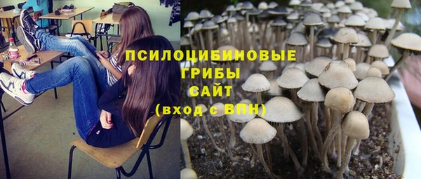 мдпв Белокуриха