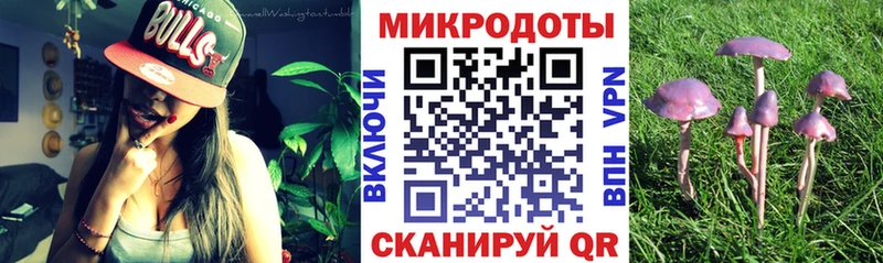 blacksprut зеркало  Туринск  Псилоцибиновые грибы Psilocybine cubensis 